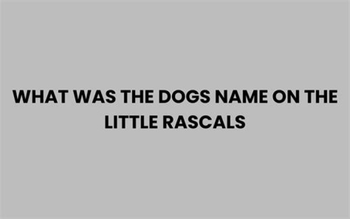 What Was The Dog’s Name On Little Rascals