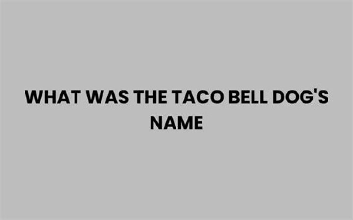 What Was The Taco Bell Dog’s Name