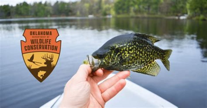 Where To Buy Oklahoma Non Resident Fishing License
