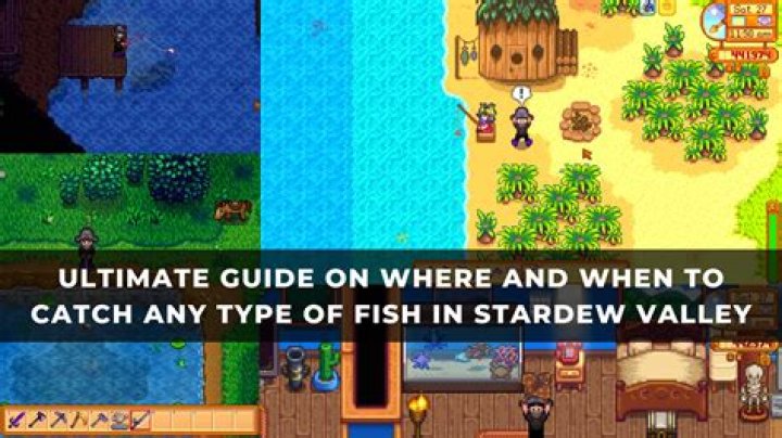 Where To Catch All Fish In A Short Hike