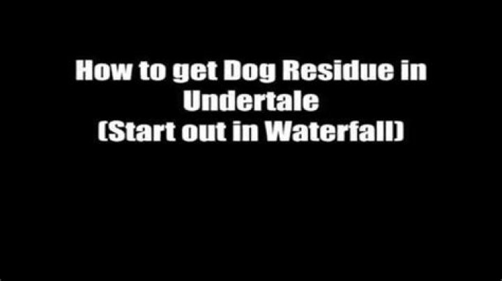 Where To Use The Dog Residue