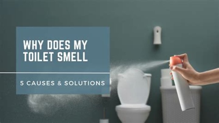 Why does my toilet flush twice in one go?