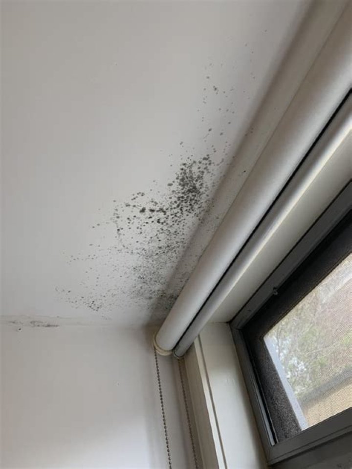 Why has my radiator started clicking?